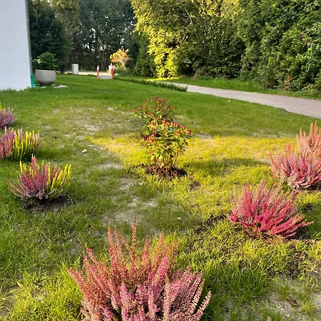 Mit 2 Schlafzimmern Und Terrasse *