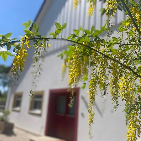 Mit 2 Schlafzimmern Und Terrasse *