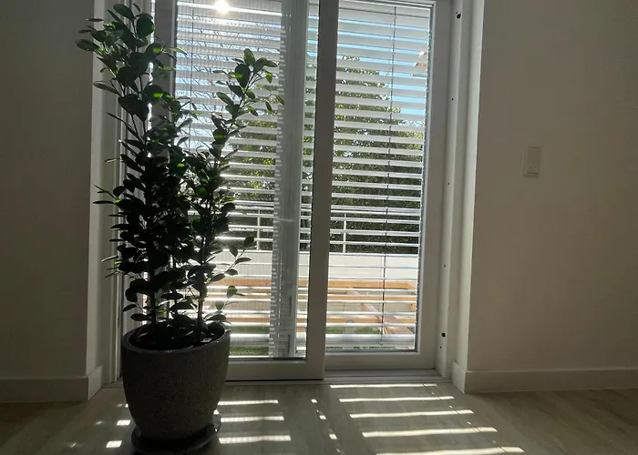 Mit 2 Schlafzimmern Und Terrasse * Halle (Westfalen)