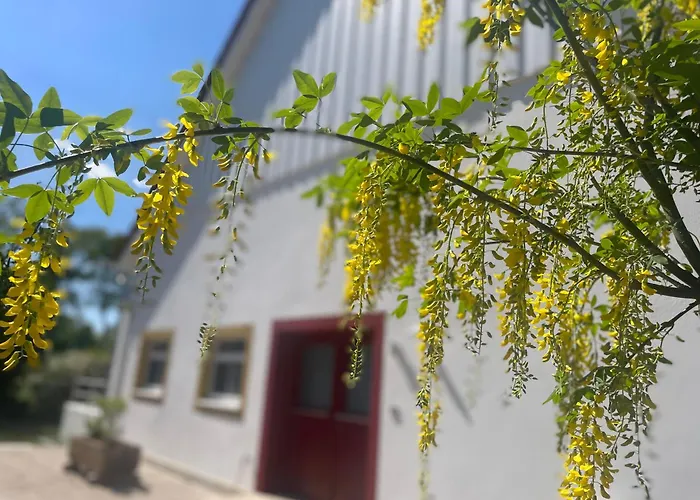 Mit 2 Schlafzimmern Und Terrasse *