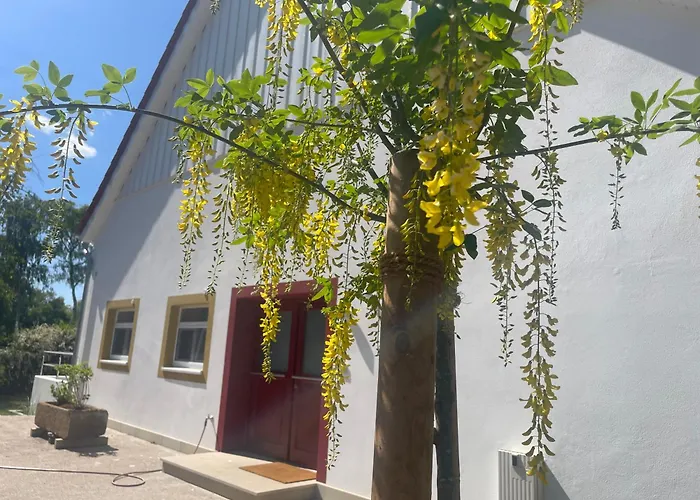 דירה Mit 2 Schlafzimmern Und Terrasse Halle (Westfalen)